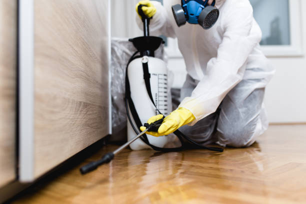 Best Wasp Removal Services  in Laurel, FL