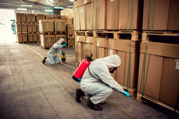 Best Pest Removal Services  in Laurel, FL