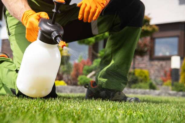 Best Emergency Pest Control  in Laurel, FL
