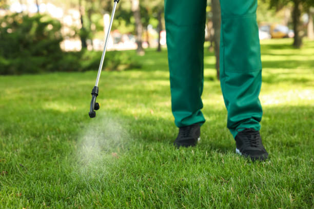Best Exterminator Services  in Laurel, FL