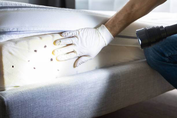 Best Exterminator Services  in Laurel, FL